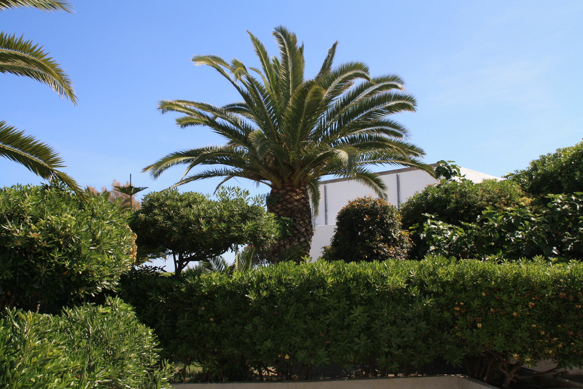 Hotel Villaggio Club Altalia Residence Brancaleone Exterior foto